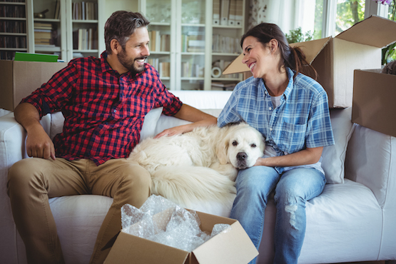 Couple sitting on sofa with their pet dog in their new house Couple sitting on sofa with their pet dog in their new house